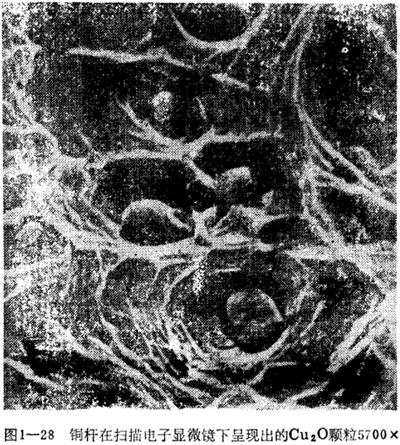 銅桿在掃描電子顯微鏡下顯現出的Cu2O顆粒 5700×