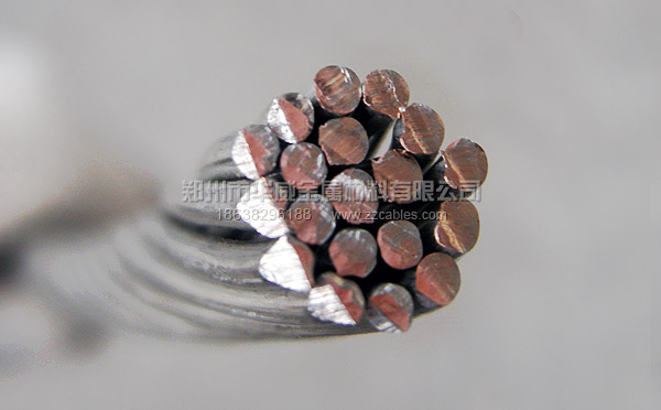 鍍錫硬銅絞線(硬及中硬)